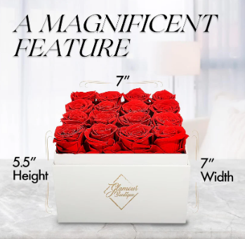 Preserved Roses in a Box Flower