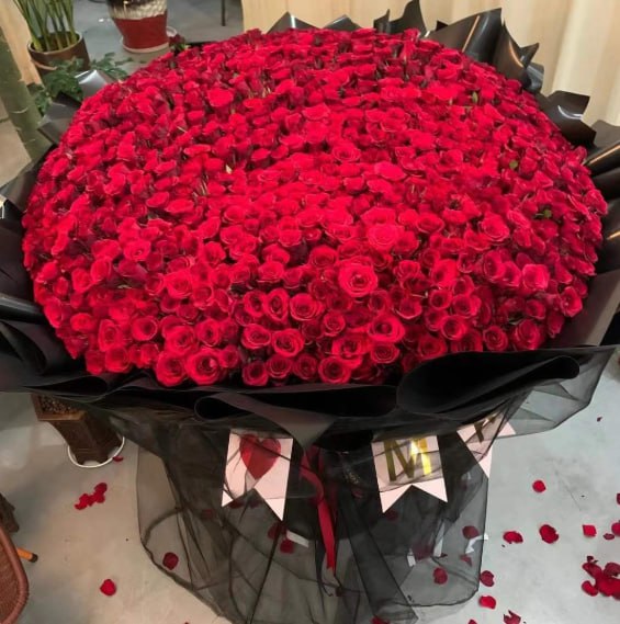 Eterfield 999 roses for your favorite princess, love will last forever Life together(Red Roses)