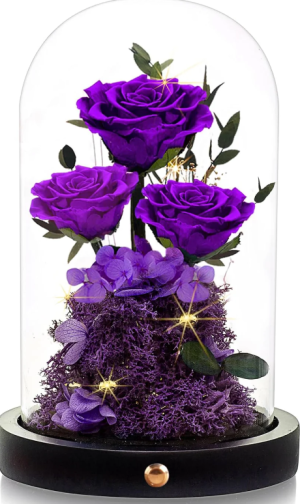 Valentines Day Flowers Roses Gifts