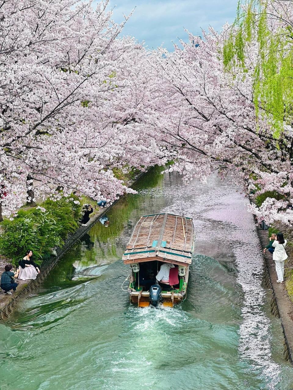 15-Day Japan Cherry Blossom Hot Spring Culture Panoramic Tour