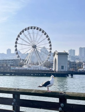 San Francisco 7-Day Travel Planner