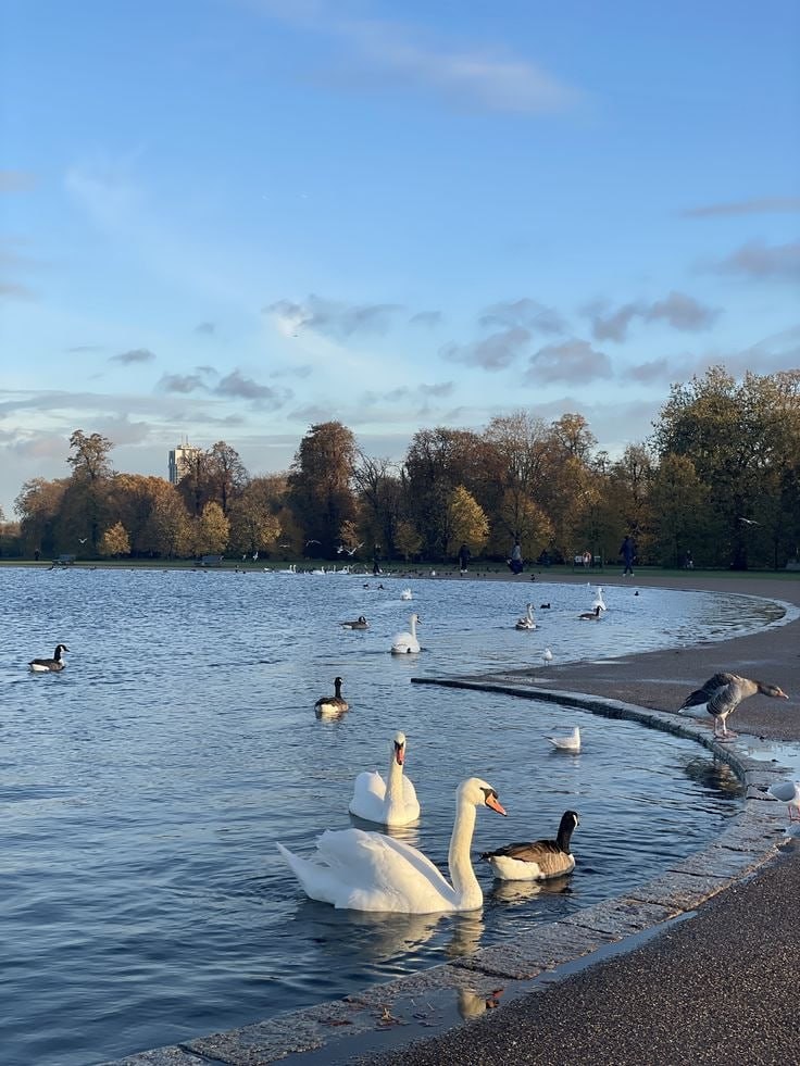 Seven-day romantic honeymoon tour in the UK