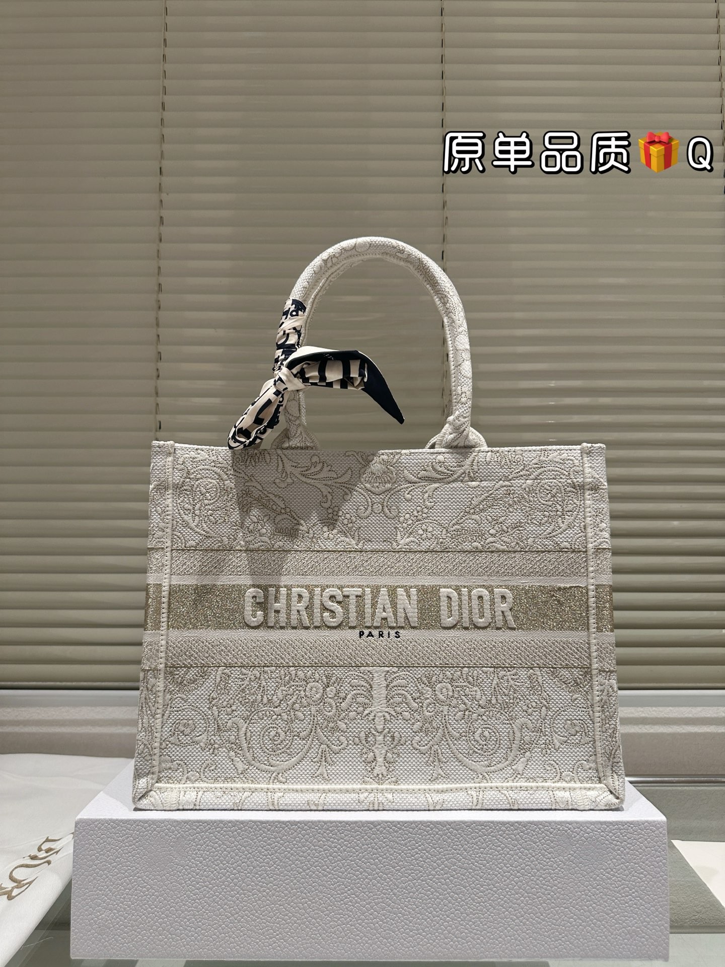 Dior Book Tote