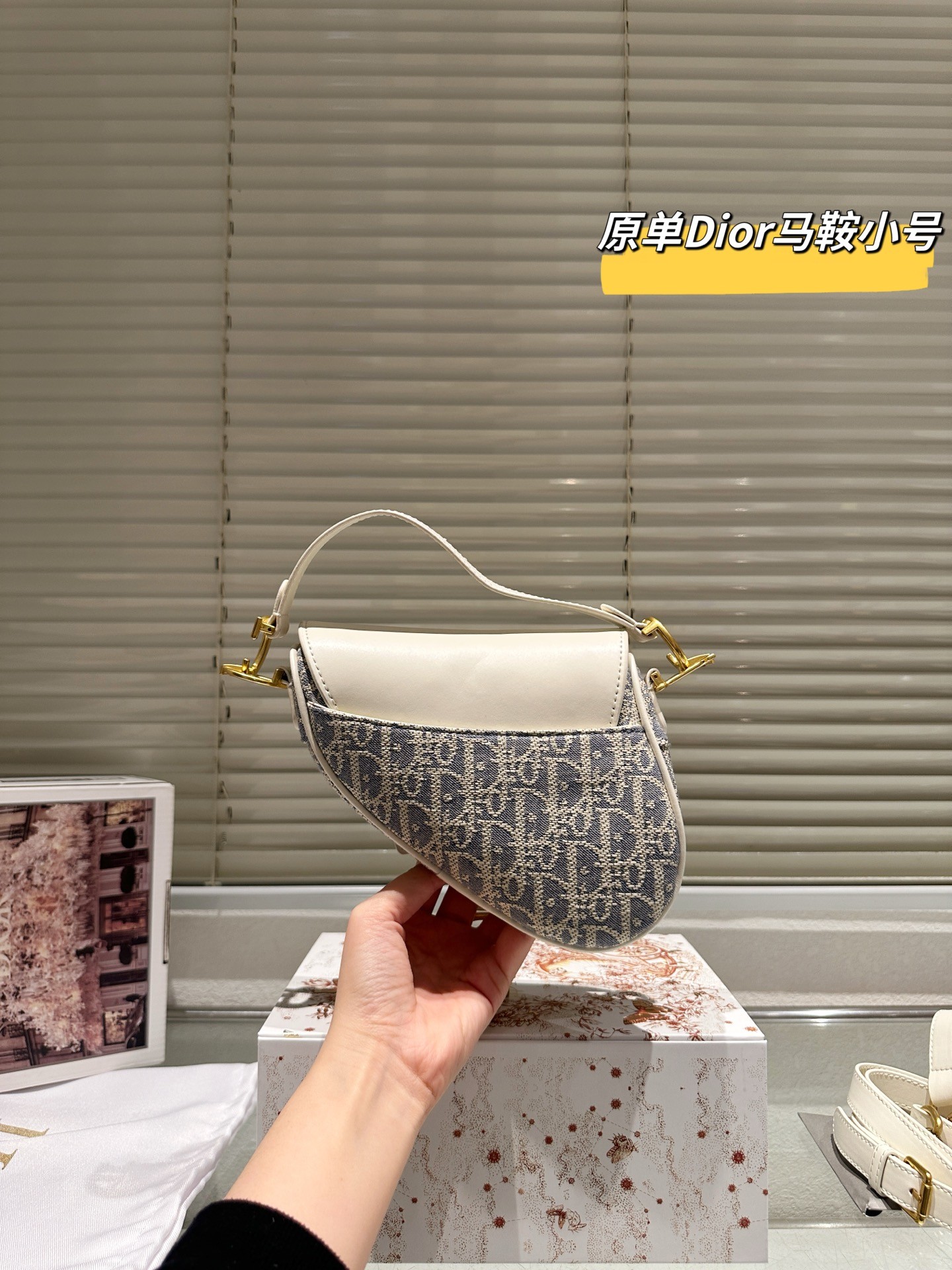 （Dior）Saddle bag