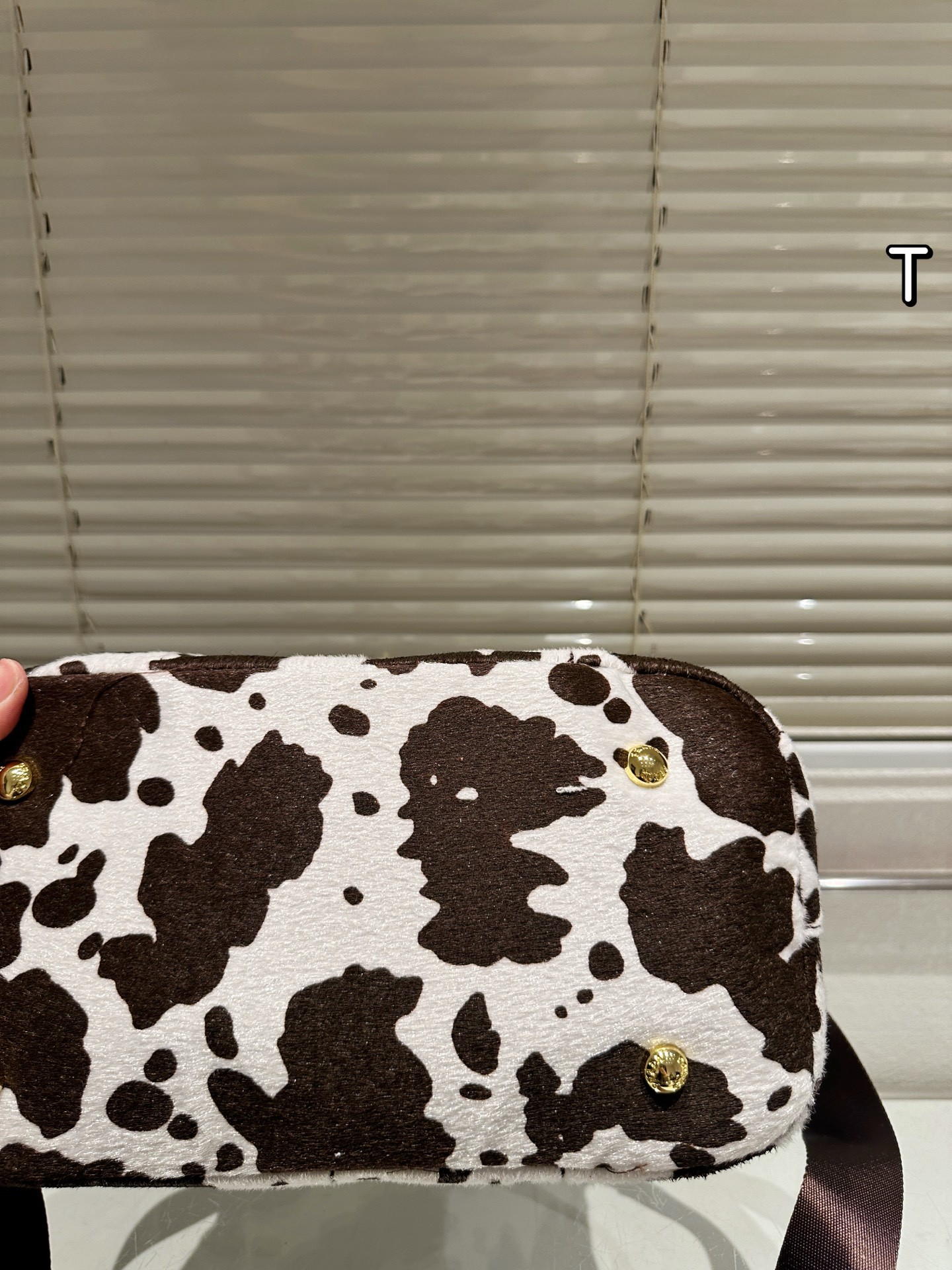 Prada Bonnie Medium Printed Leather Handbag