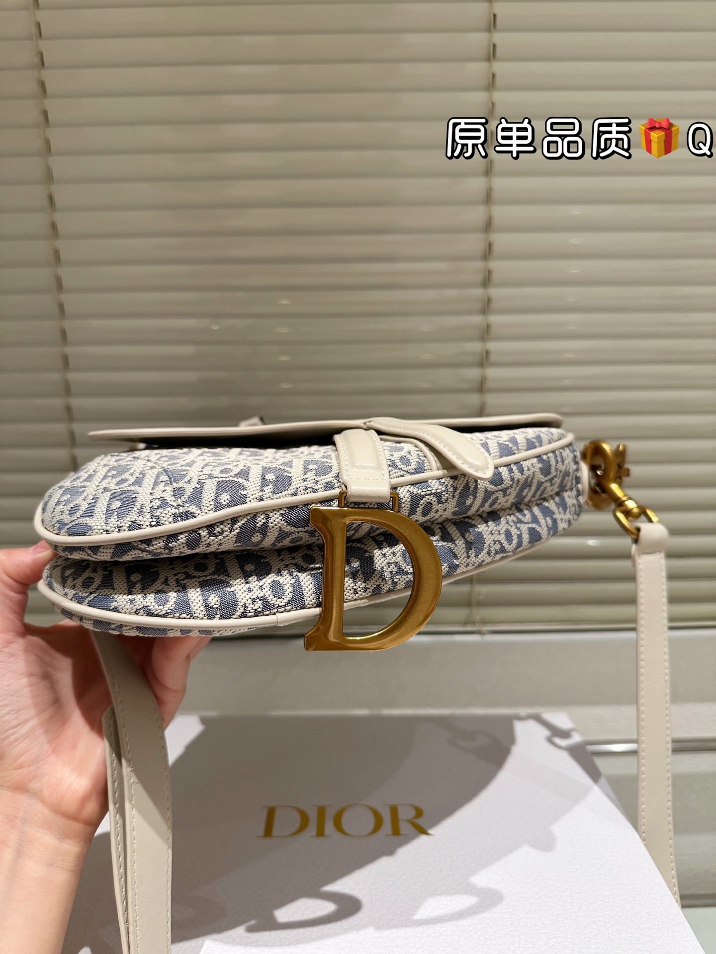 Dior Saddle Bag