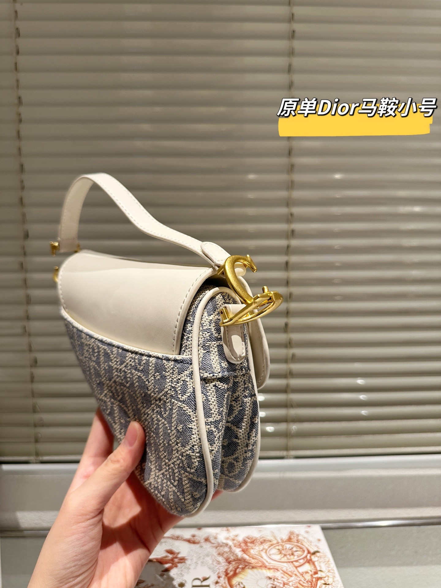（Dior）Saddle bag