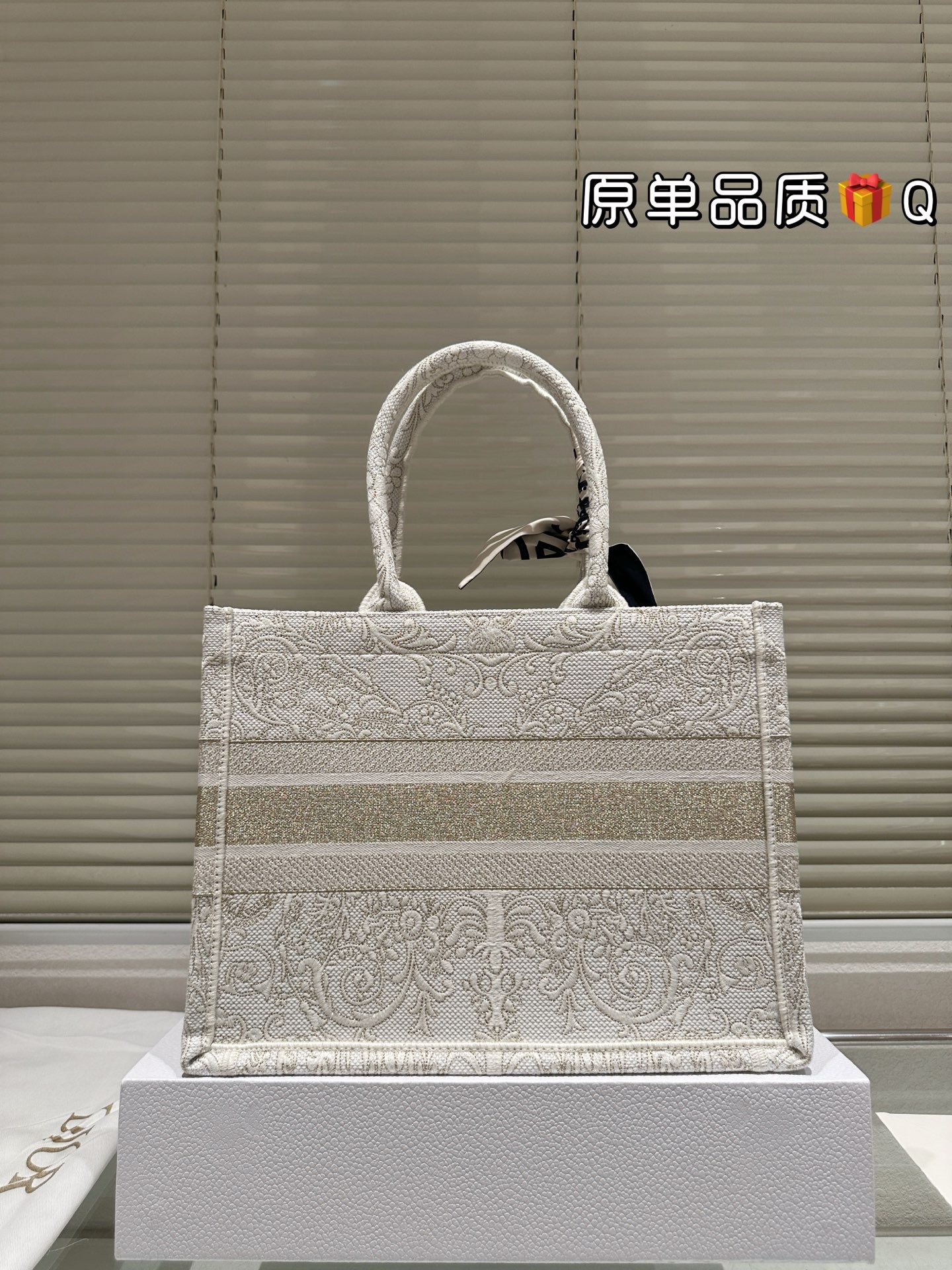 Dior Book Tote
