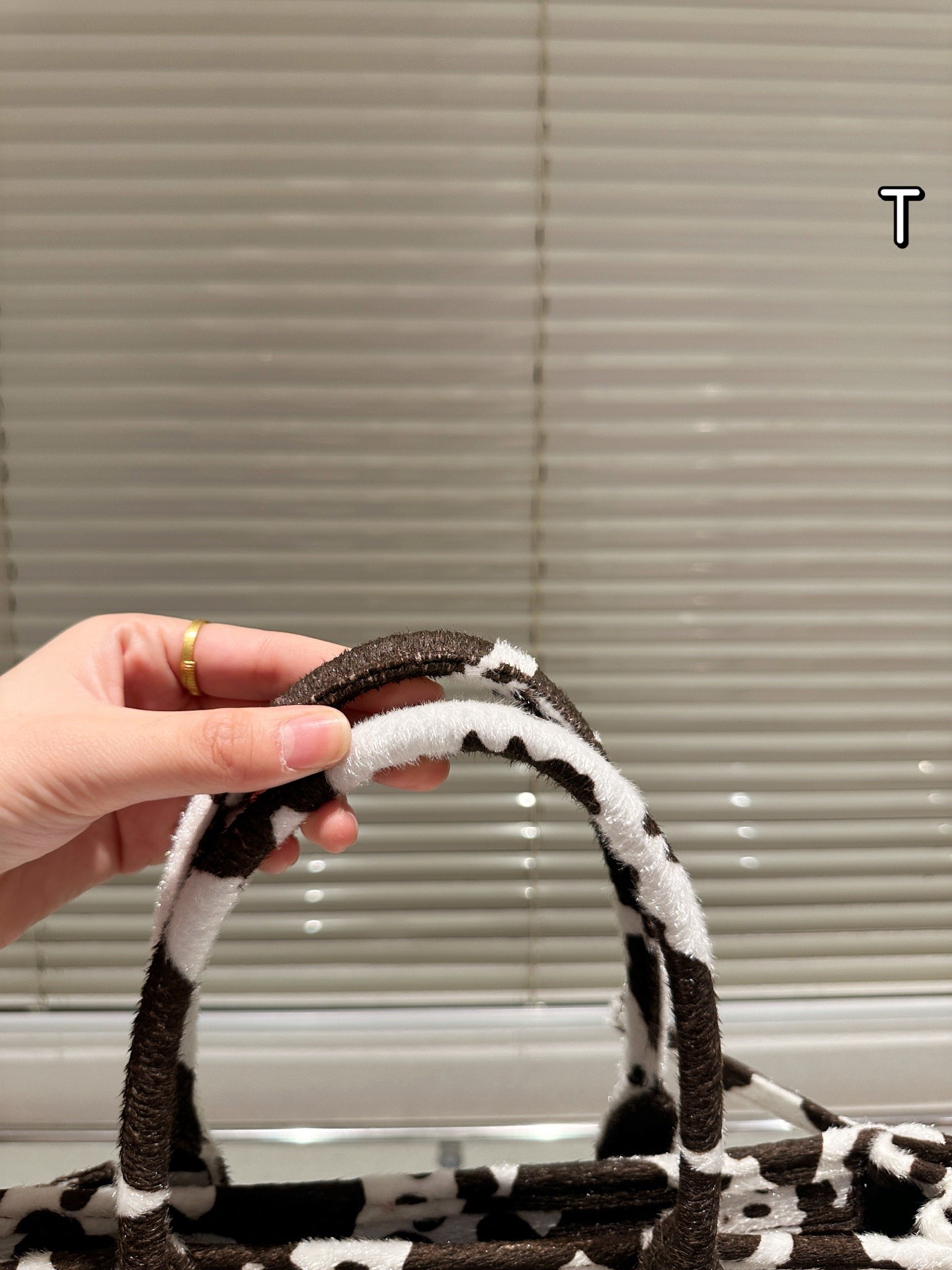 Prada Bonnie Medium Printed Leather Handbag