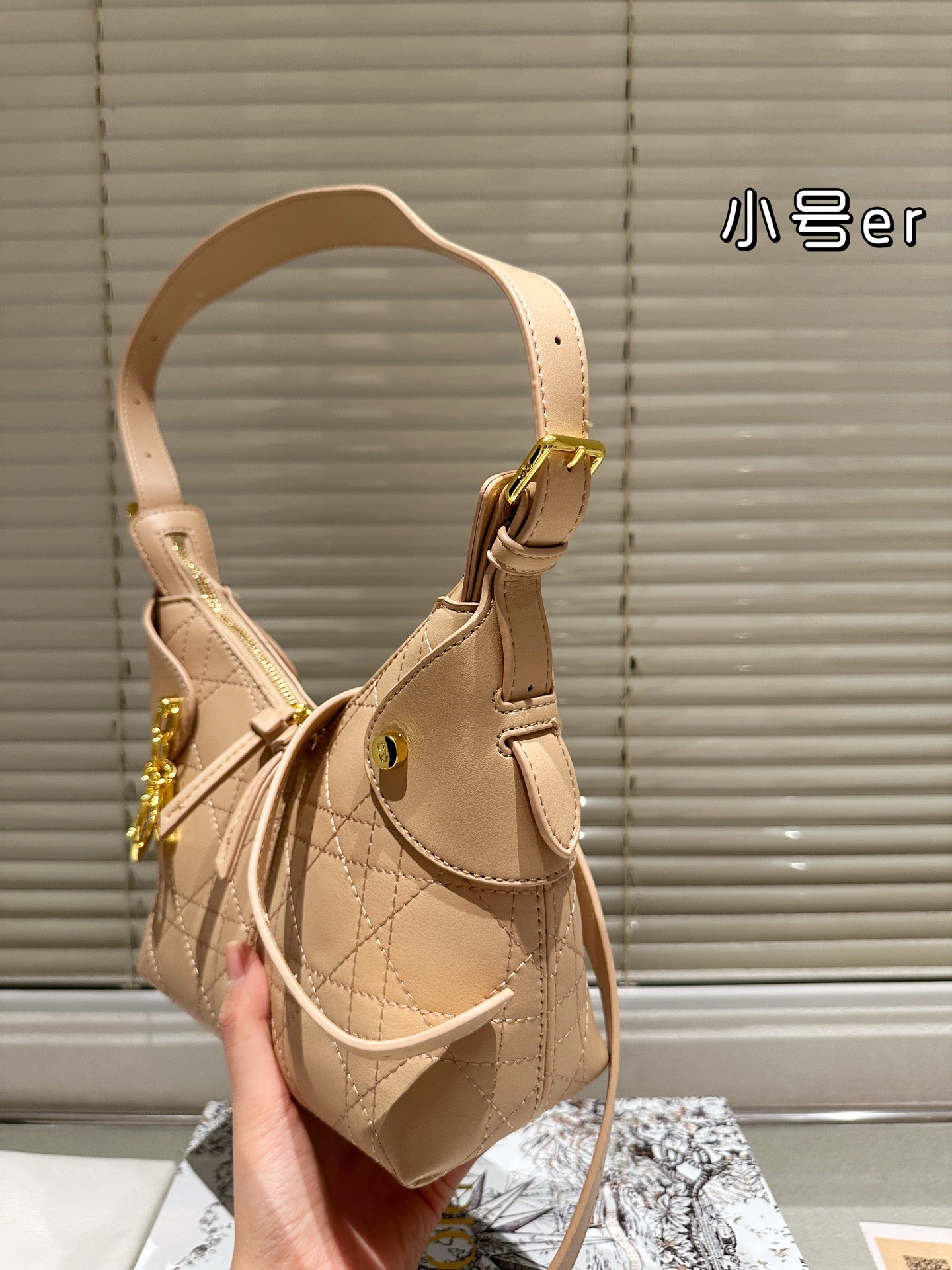 Dior Voyage Collection Handbags.