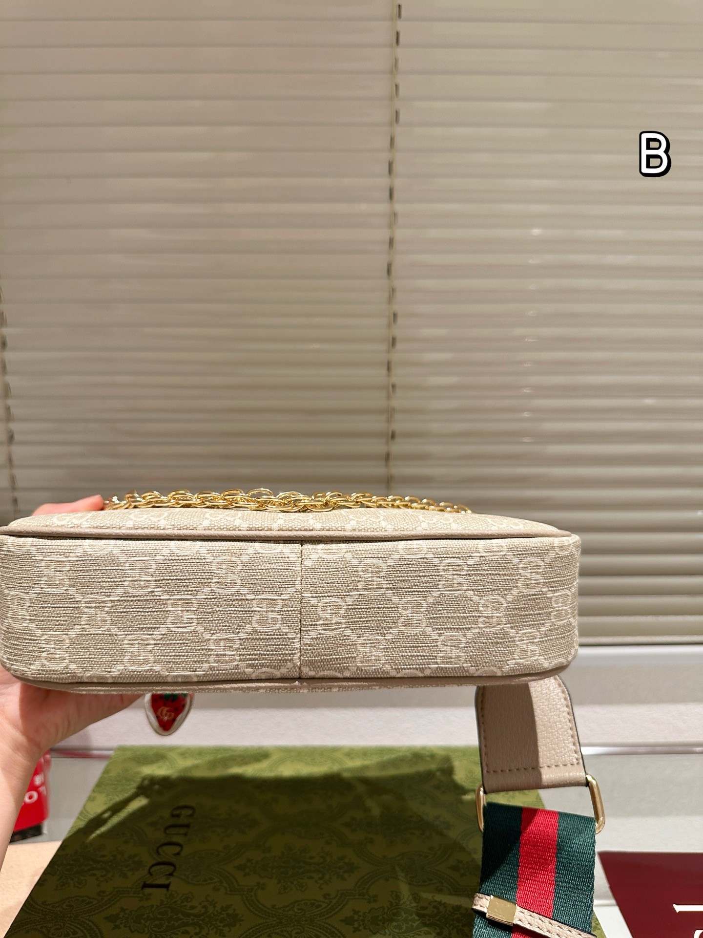 Gucci Ophidia Series Small Shoulder Bag