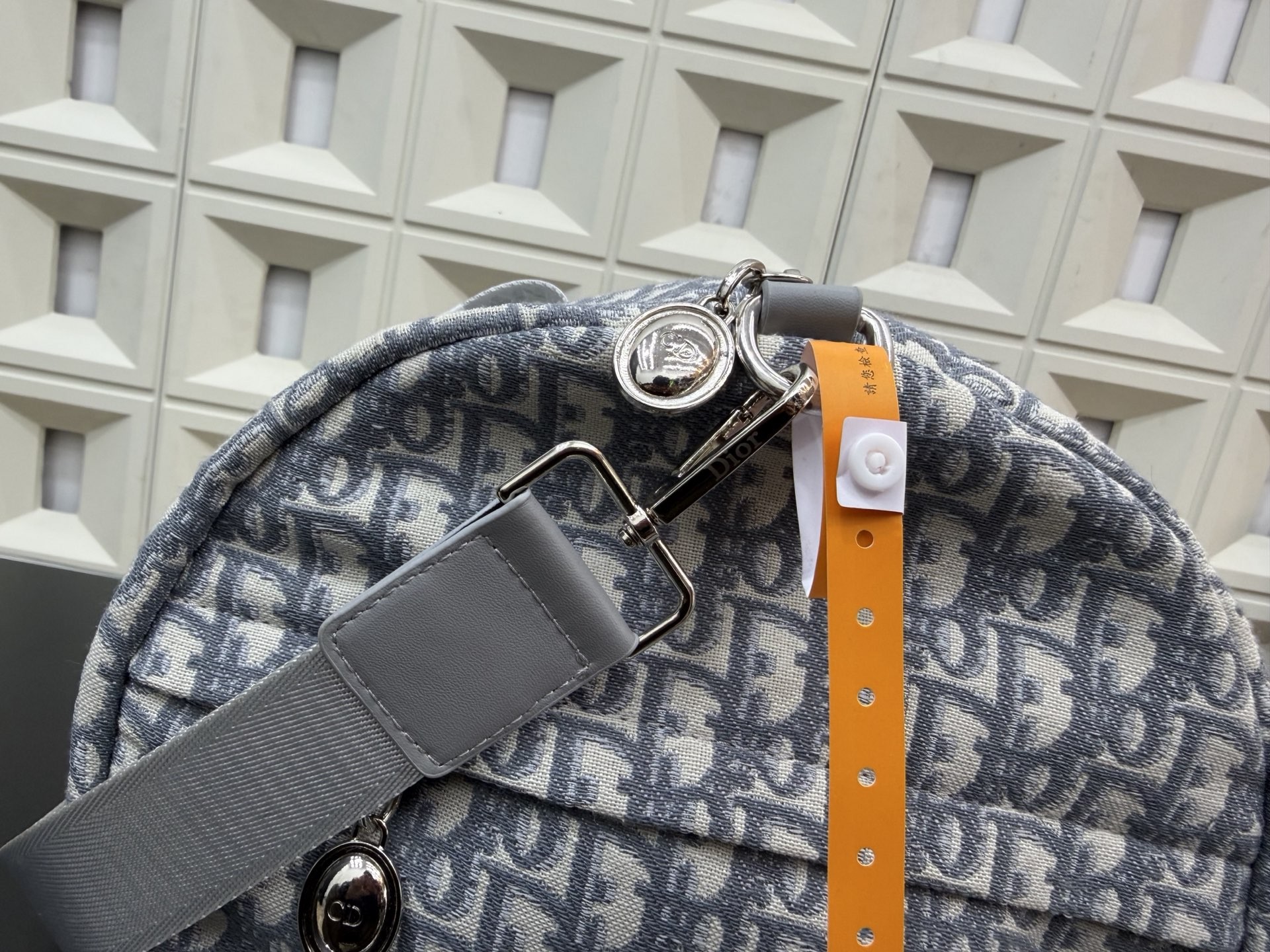 Christian Dior Oblique Travel Bag