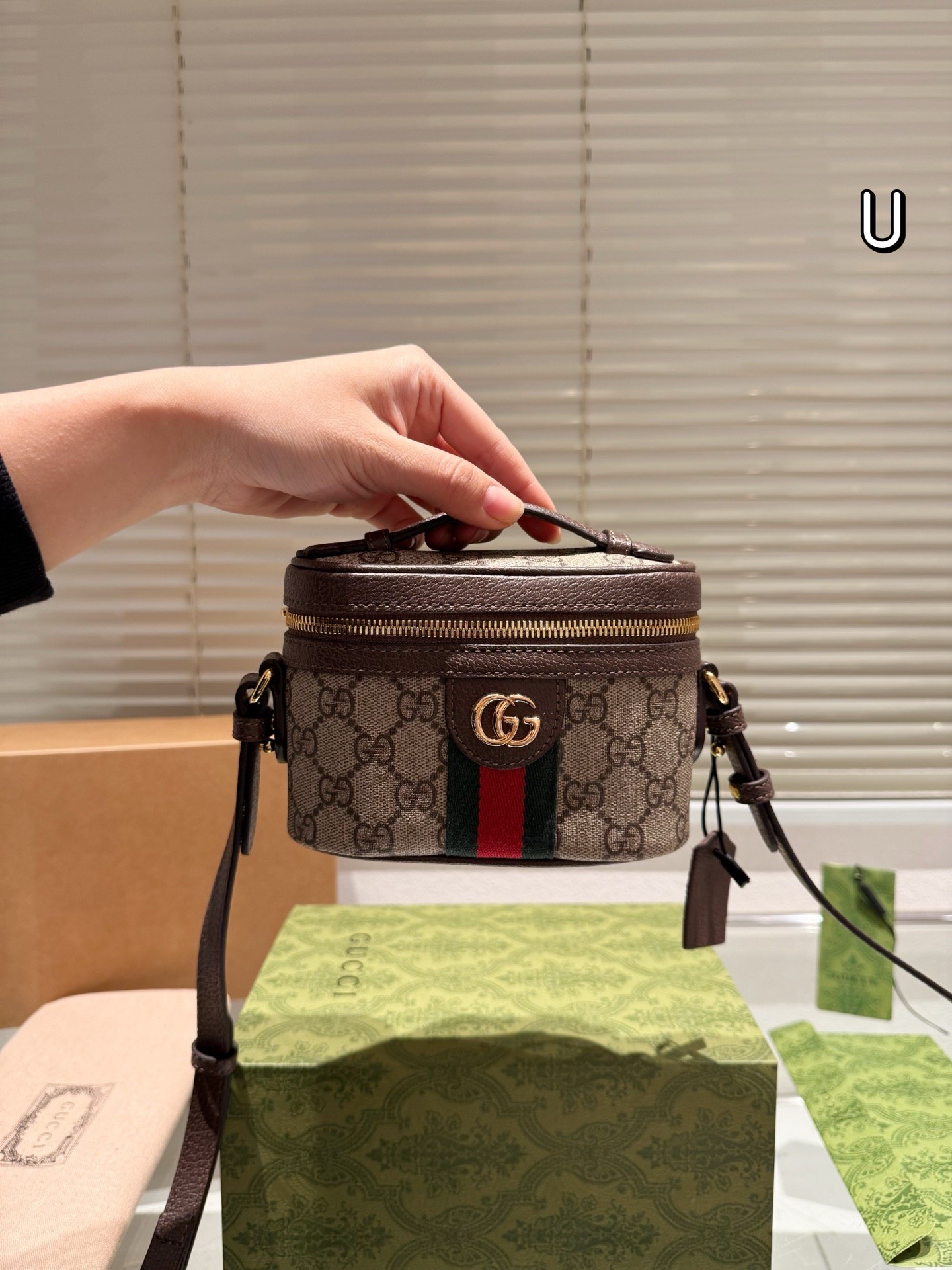 Gucci Ophidia GG Supreme Mini Cosmetic Case