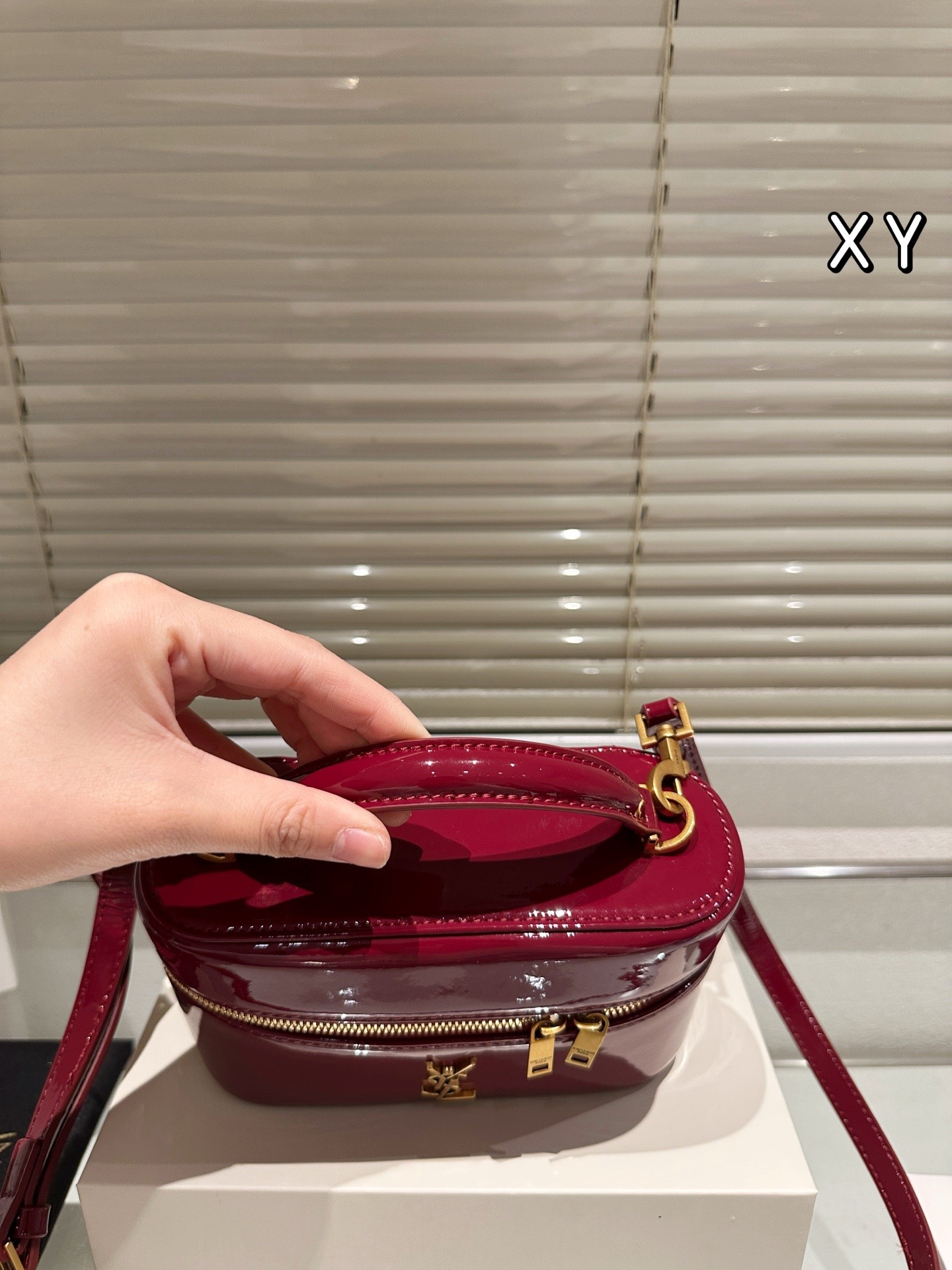 Saint Laurent Gaby Vanity Bag