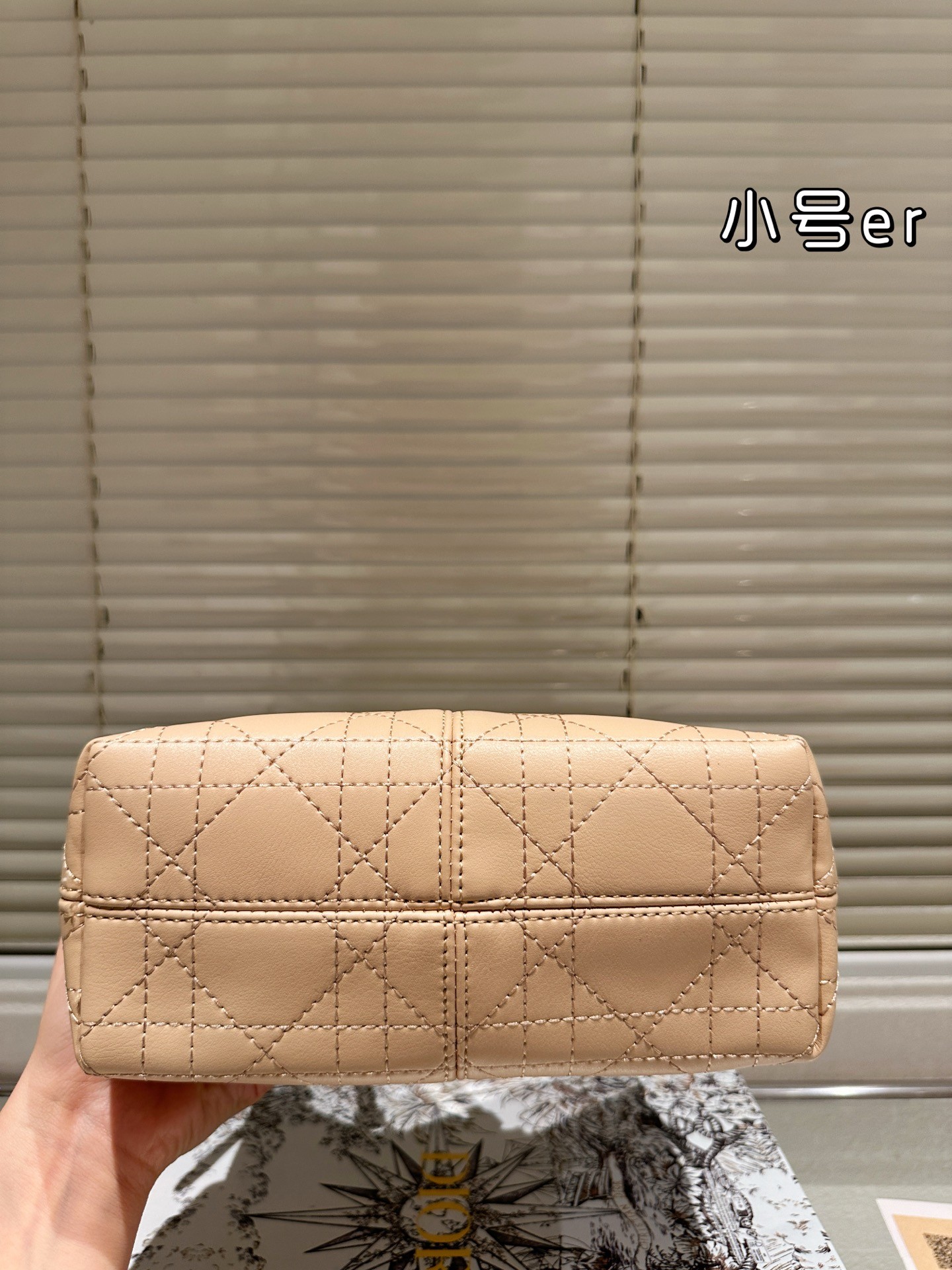 Dior Voyage Collection Handbags.