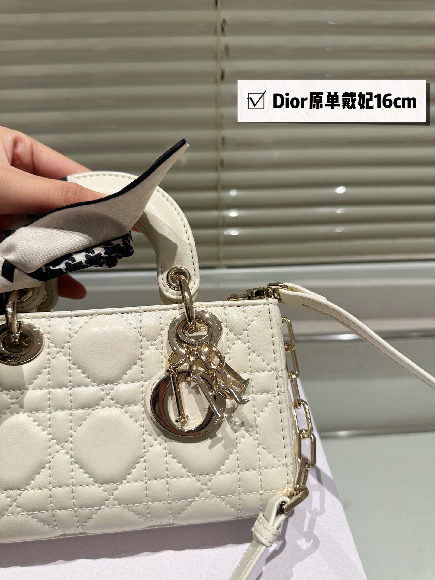 Dior Lady D-Joy Handbag