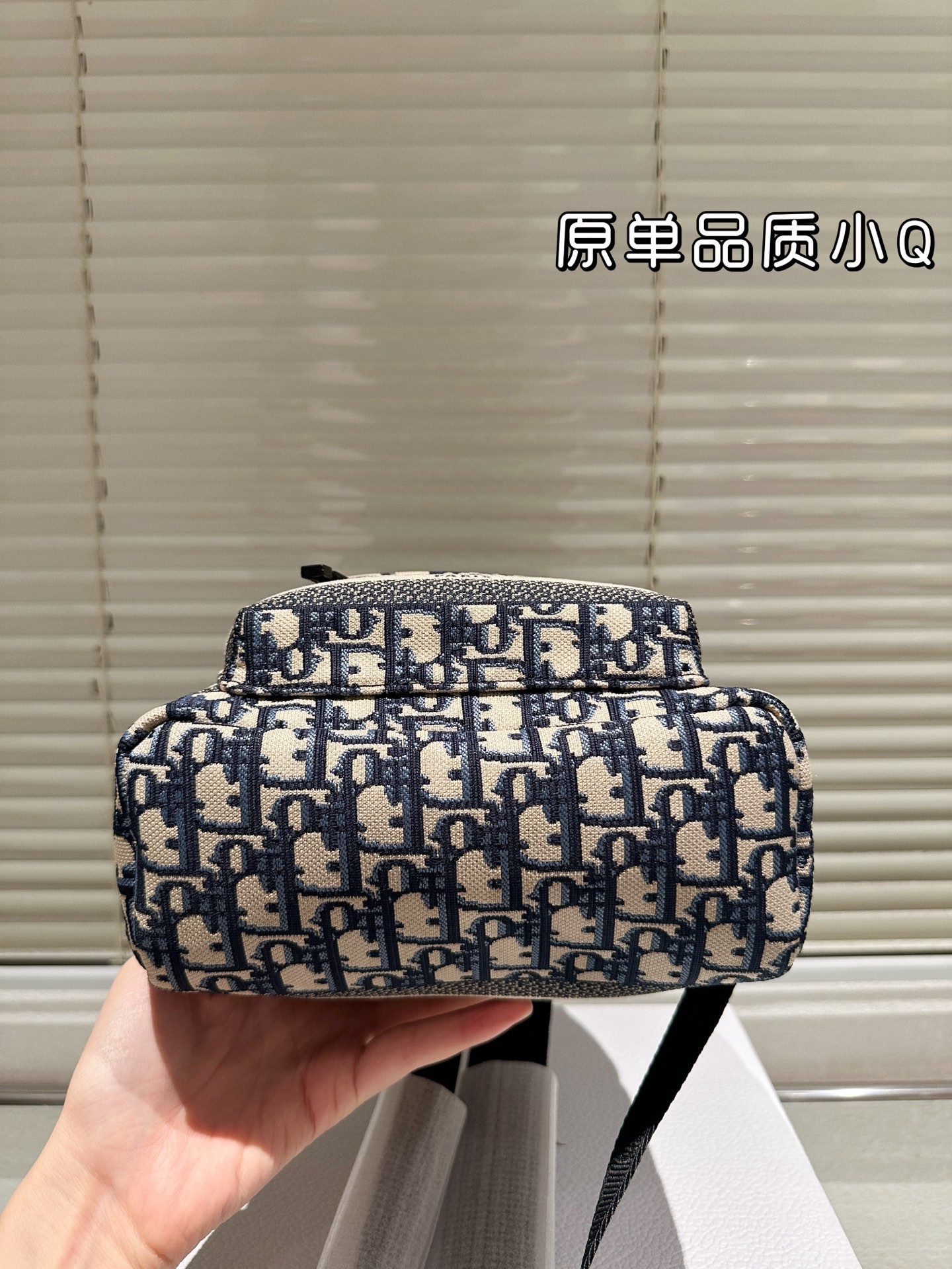 Sac à dos de voyage Dior