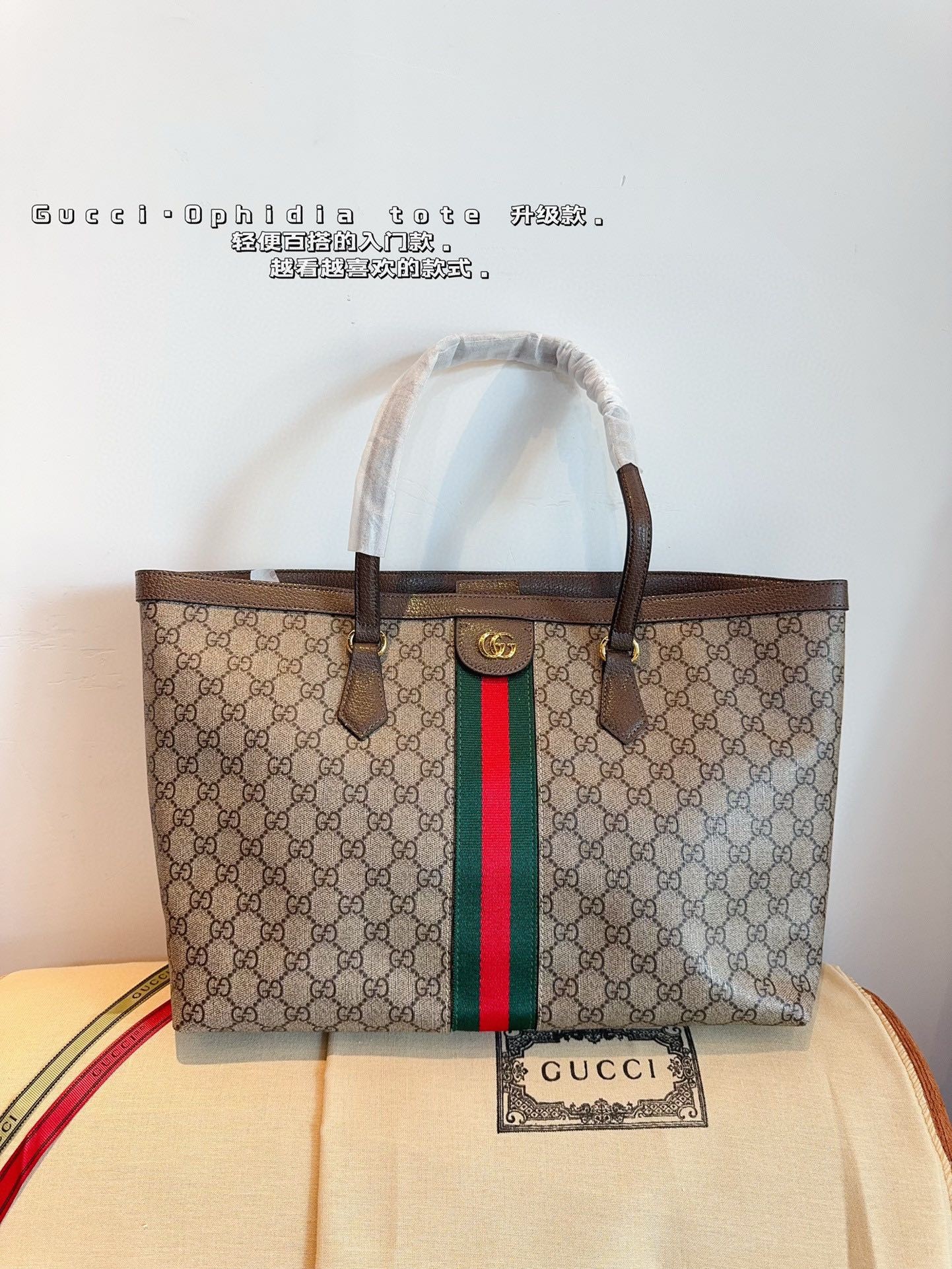 Gucci Ophidia Series Medium Tote Bag.