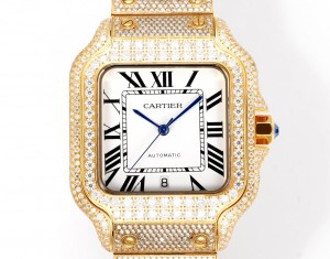 Cartier Santos Men's Watches